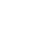 RJS_Website_Icons_Healthcare.png